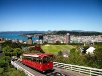 Angajatorii din Noua Zeelanda platesc specialistilor IT din intreaga lume o vacanta in Wellington, pentru a participa la interviurile de recrutare