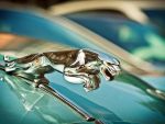 Tiriac Auto isi extinde portofoliul cu 18 modele noi in acest an, inclusiv de la marci premium precum Jaguar, Range Rover si Mercedes-Benz