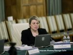 Rectificarea bugetara va avea loc cel tarziu in luna august, anunta vicepremierul Shhaideh, desi afirma ca avem o executie in grafic