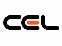 Retailerul online CEL.ro intra pe piata asigurarilor RCA