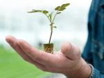 UE a aprobat preluarea producatorului elvetian de pesticide Syngenta de catre China National Chemical