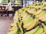 Aplicarea legii risipei alimentare, amanata. Ministrul Agriculturii: Ar putea aparea un comert paralel, greu de tinut sub control