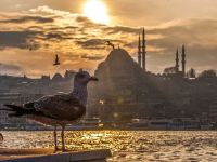 
	Platforma online Netflix va lansa primul sau serial original turcesc, care va explora istoria culturala a Istanbulului
