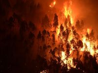 Peste 10.000 de persoane, evacuate in timpul noptii din cauza incendiilor de vegetatie din Corsica si sudul Frantei