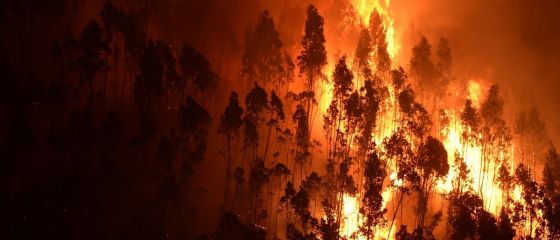 Peste 10.000 de persoane, evacuate in timpul noptii din cauza incendiilor de vegetatie din Corsica si sudul Frantei