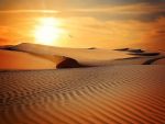 Un val de caldura sahariana va lovi Europa de Est in lunile iulie si august. Avertismentul psihologilor