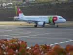 TAP Portugal anulează din nou două curse din Lisabona către București și retur, după un incident asemănător petrecut săptămâna trecută