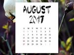 Inca o zi libera pentru bugetari, in august