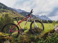 Brandul românesc de biciclete Pegas a intrat pe piața din Europa, prin listarea pe Amazon, și țintește Statele Unite