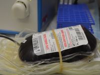 Institutul Naţional de Hematologie face apel la cetățeni să doneze sânge: Colecta a ajuns la pragul critic