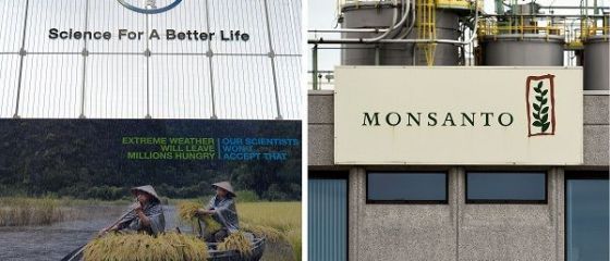 Comisia Europeană investighează preluarea Monsanto de către Bayer, care ar genera cel mai mare grup din sectorul mondial al pesticidelor şi semniţelor