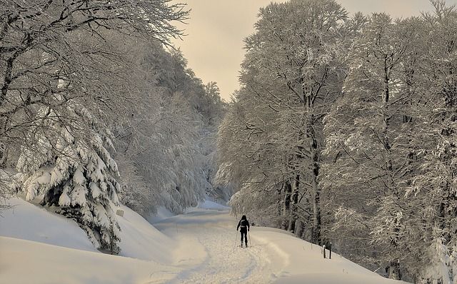 Număr Record De Rezervări Pe Valea Prahovei Pentru Sărbători Cat Costă Un Sejur De Revelion La Sinaia Busteni Sau Azuga Incont Stirileprotv Ro