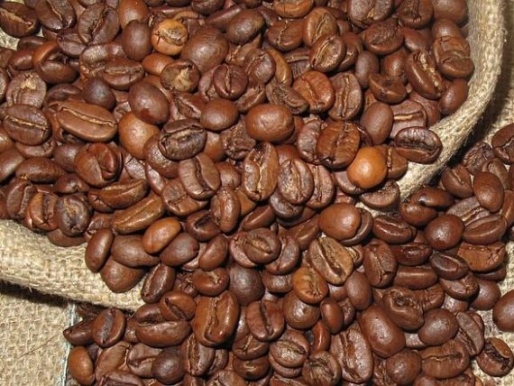 Se schimbă gustul cafelei. Fermierii din America Latină au început să cultive mai multă cafea robusta, în detrimentul celei arabica, mai scumpă și de calitate superioară