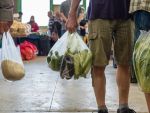 Pungile din plastic subțire, cu mâner, interzise în România
