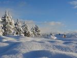 Informare meteo de ninsori, viscol şi polei în întreaga ţară, până marţi la ora 12:00