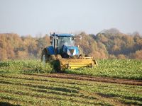 Un sfert din populația României lucrează în agricultură. Media UE este de 4,5%. Majoritatea angajaților din țările dezvoltate lucrează în servicii
