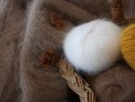 Gap, Zara și H M renunță să mai folosească mohair, după apariția unor filmări ce prezintă capre maltratate în Africa de Sud