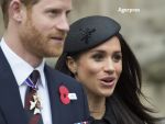 Harry şi Meghan se retrag din rolurile de prim-plan din familia regală britanică şi vor fi independenţi financiar