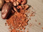 Transformările climatice ne lasă fără ciocolată. Cercetătorii încearcă să salveze plantele de cacao în laborator