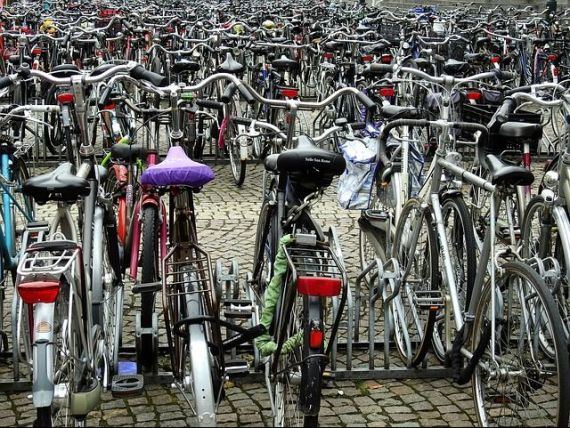Țara din UE care are mai multe biciclete decât populație și își plătește cetățenii să pedaleze | | StirileProTv.ro