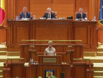 S-a votat hotărârea privind referendumul. PNL acuză: Raportul comisiilor este un fals