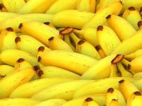 
	Motivul incredibil pentru care China importă cantități record de banane. Prețurile la fructe au atins maxime istorice
