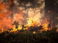 Imagini apocaliptice în Australia. Peste 1 milion de hectare au fost distruse de incendii
