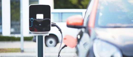 ONG: Mașinile electrice își triplează cota de piață în Europa în acest an, pe fondul prăbușirii vânzărilor de autoturisme tradiționale