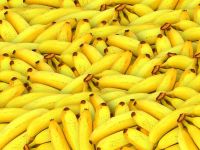 
	Bananele, pe cale de dispariţie şi tot mai scumpe. Cel mai mare producător din lume decretează starea de urgență
