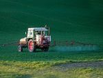 Două dintre cele mai productive regiuni agricole din UE sunt în România