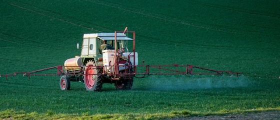 Două țări din Europa interzic cel mai folosit erbicid din lume, potential cancerigen pentru oameni. Fermierii români au cerut CE păstrarea lui în uz