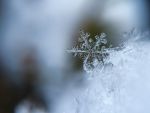 Alertă meteo de vreme severă. ANM anunță Cod galben în 14 judeţe din țară