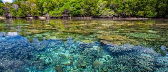 Prima țară din lume care declară criză climatică naţională și adoptă o lege în parlament pentru combaterea schimbărilor climatice