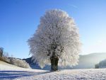 Minime și maxime meteorologice în luna decembrie. Anul în care s-a ajuns la -34,5 ordm;C