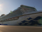 Al doilea român infectat cu coronavirus pe nava de croazieră Diamond Princess. Anunțul MAE