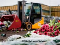 
	Situație inedită în Olanda, în ultimii 100 de ani: Milioane de flori sunt distruse zilnic, din cauza COVID-19
