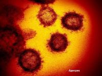Cercetători: Noua tulpină de coronavirus care se răspândeşte în Marea Britanie are mutaţii majore
