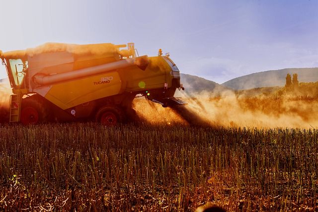 Reuters Seceta Ar Putea Reduce Aproape La Jumătate Producţia De Grau Din Romania Al Doilea Exportator Al Ue Recolta Estimată La 5 7 4 Mil Tone In Acest An Incont Stirileprotv Ro
