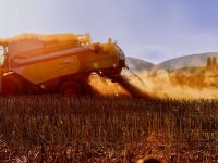 
	Reuters: Seceta ar putea reduce aproape la jumătate producţia de grâu din România, al doilea exportator al UE. Recolta, estimată la 5-7,4 mil. tone în acest an
