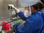 California se reînchide din cauza creşterii numărului de cazuri de coronavirus