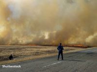 
	Arde Siberia! Rusia &rdquo;însămânţează norii&rdquo;, pentru a stinge incendiile devastatoare din nordul țării
