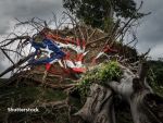 New York Times: Donald Trump ar fi vrut să vândă Puerto Rico, după ce insula a fost devastată de uraganul Maria, în 2017