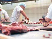 
	Economia Germaniei mai primește o lovitură, în plină pandemie. Exporturile de carne de porc în China şi alte state din afara UE au fost suspendate
