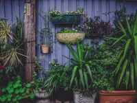(P) 9 trucuri pentru decorarea grădinii