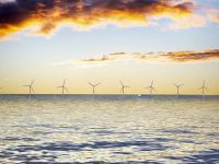 Asociaţia pentru Energie Eoliană: România are toate avantajele pentru a fi un campion al energiei eoliene offshore în Europa