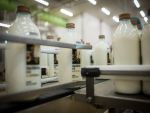 Brandul Lăptăria cu Caimac investește 9 mil. euro într-un sistem de recuperare şi refolosire a sticlelor și borcanelor. Compania anunţă și listarea la bursă
