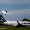 Bode: Tarom merge înainte și va deveni profitabilă în 4-5 ani. Cum va fi restructurată compania de stat în care sunt 192 de şefi