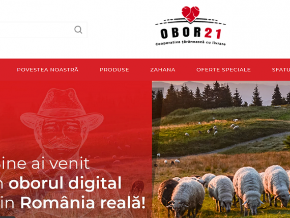 Obor21, prima cooperativă ţărănească digitală din România, a avut anul trecut o cifră de afaceri de 100.000 de euro