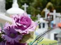 (P) Cum se aleg florile pentru înmormântare
