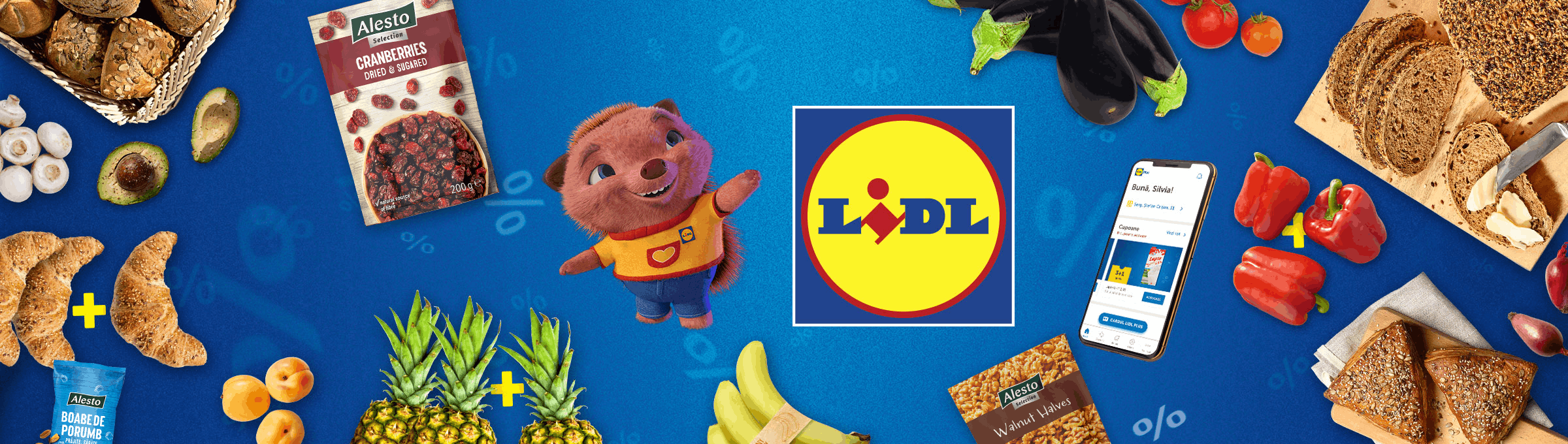 Lidl Campaign Header